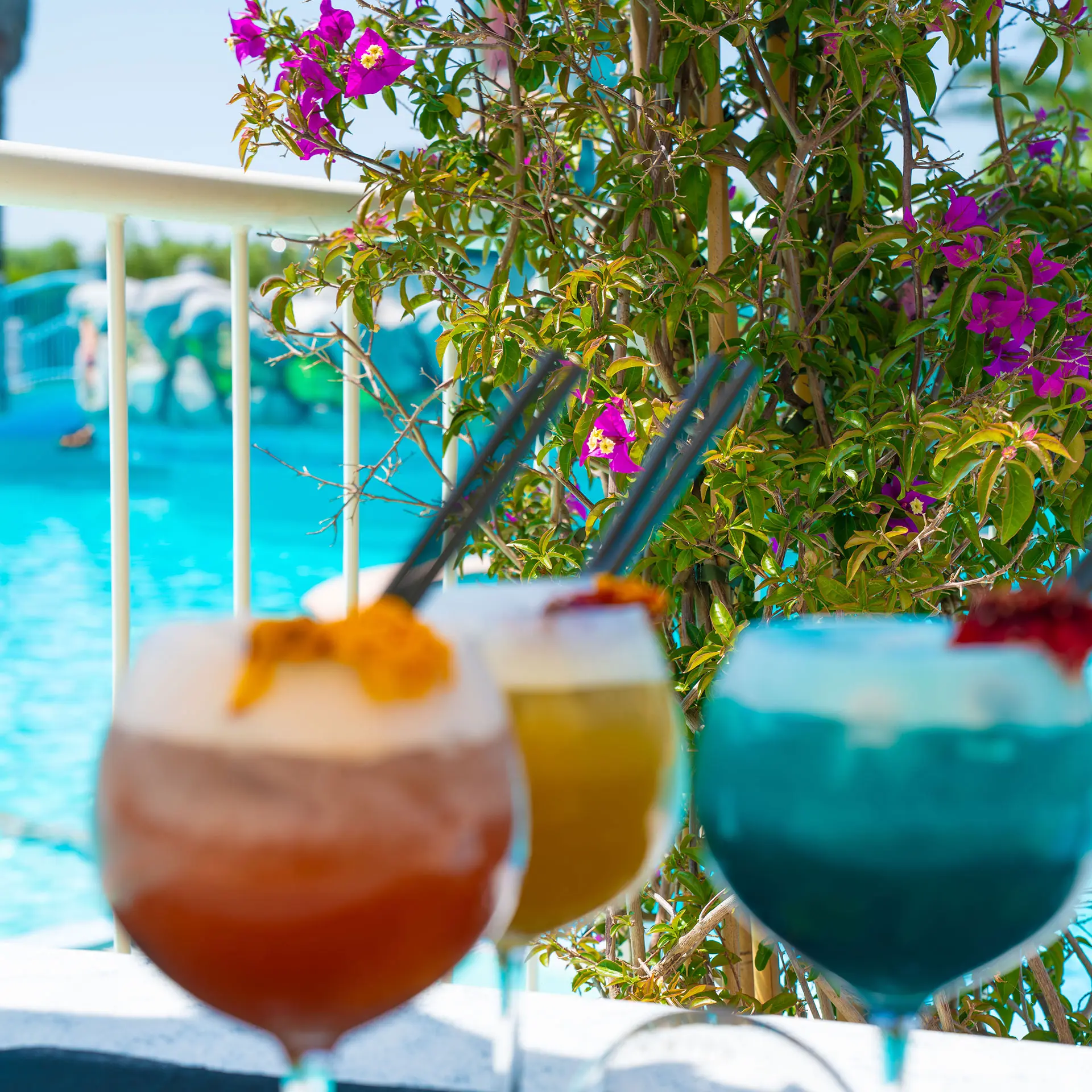 Centro Vacanze De Angelis a Numana – Resort nella Riviera del Conero