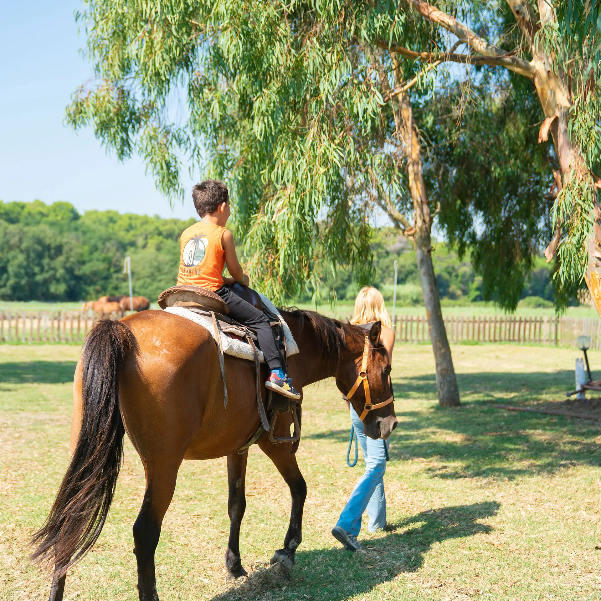 Escursioni a cavallo Centro Vacanze De Angelis a Numana – Resort nella Riviera del Conero
